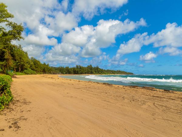 Amazing Beach Front Getaway in Princeville