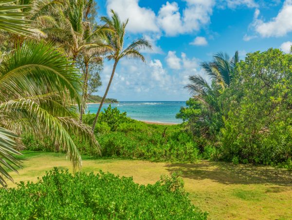 Amazing Beach Front Getaway in Princeville