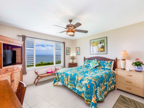 Princeville Condo 983354