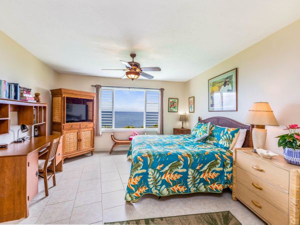 Princeville Condo 983354