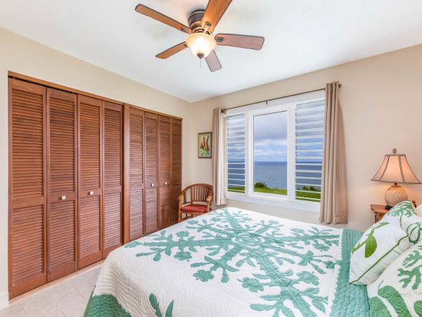 Princeville Condo 983354