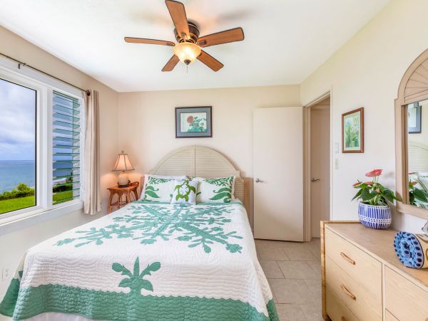 Princeville Condo 983354