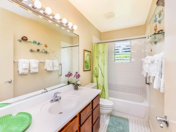 Princeville Condo 983354