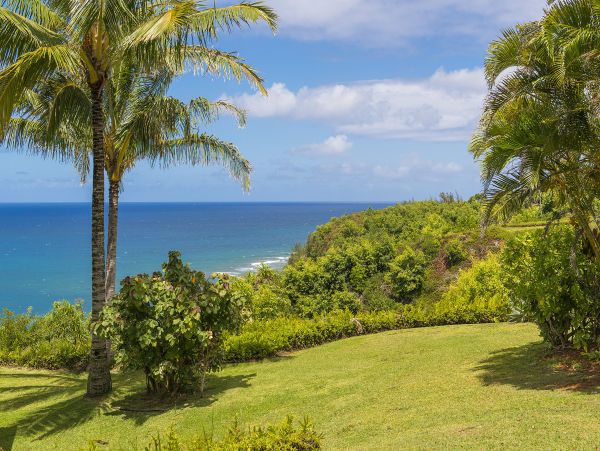 Princeville Condo 983354