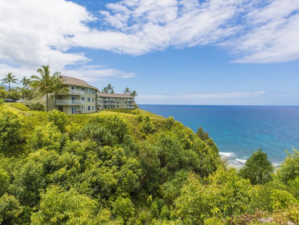 Princeville Condo 983354
