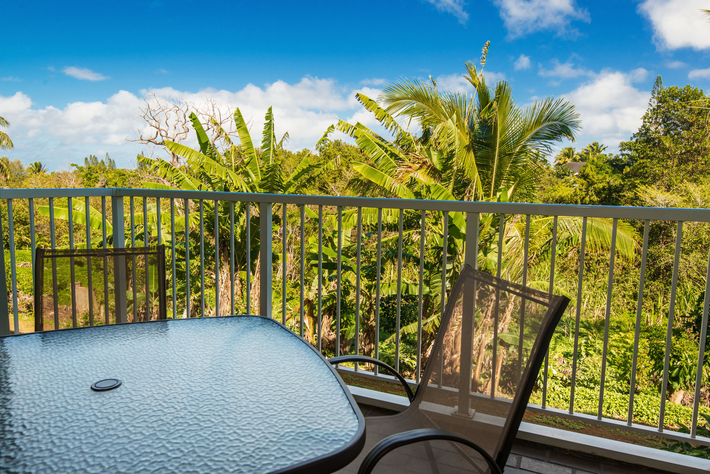Princeville Condo 983355
