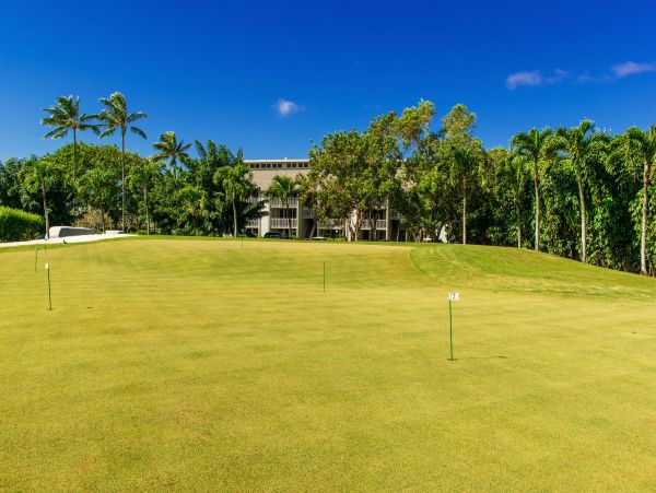Princeville Condo 983355