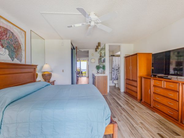 Princeville Condo 983356