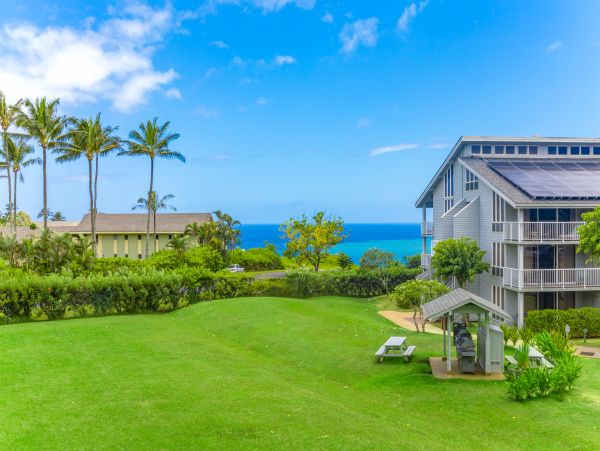 Princeville Condo 983356