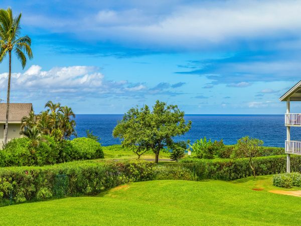 Princeville Condo 983357