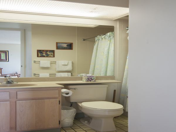 Princeville Condo 983358