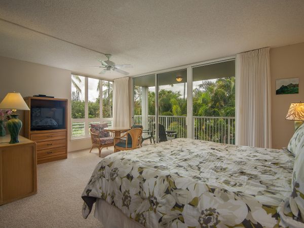 Princeville Condo 983358