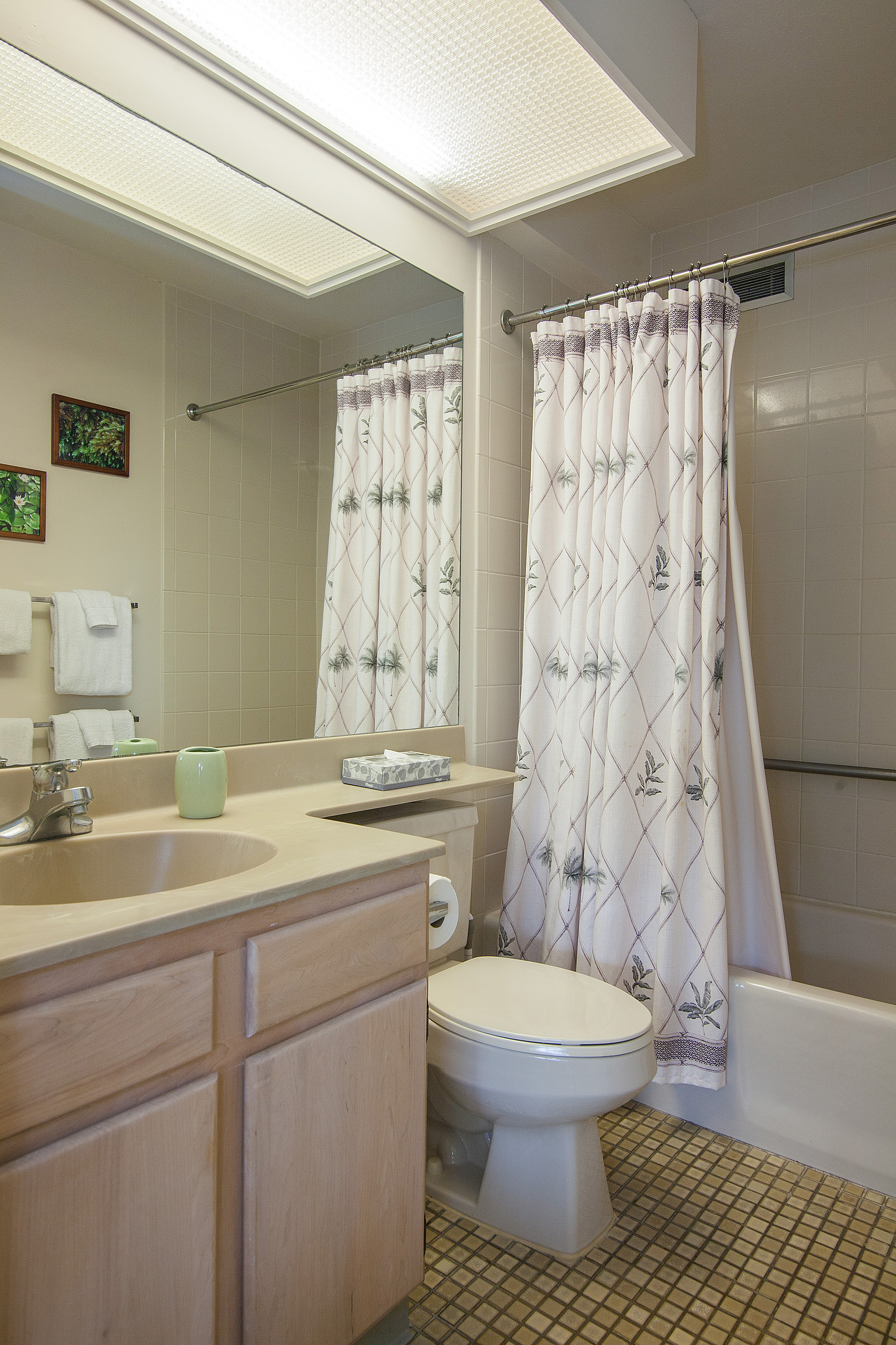 Princeville Condo 983358