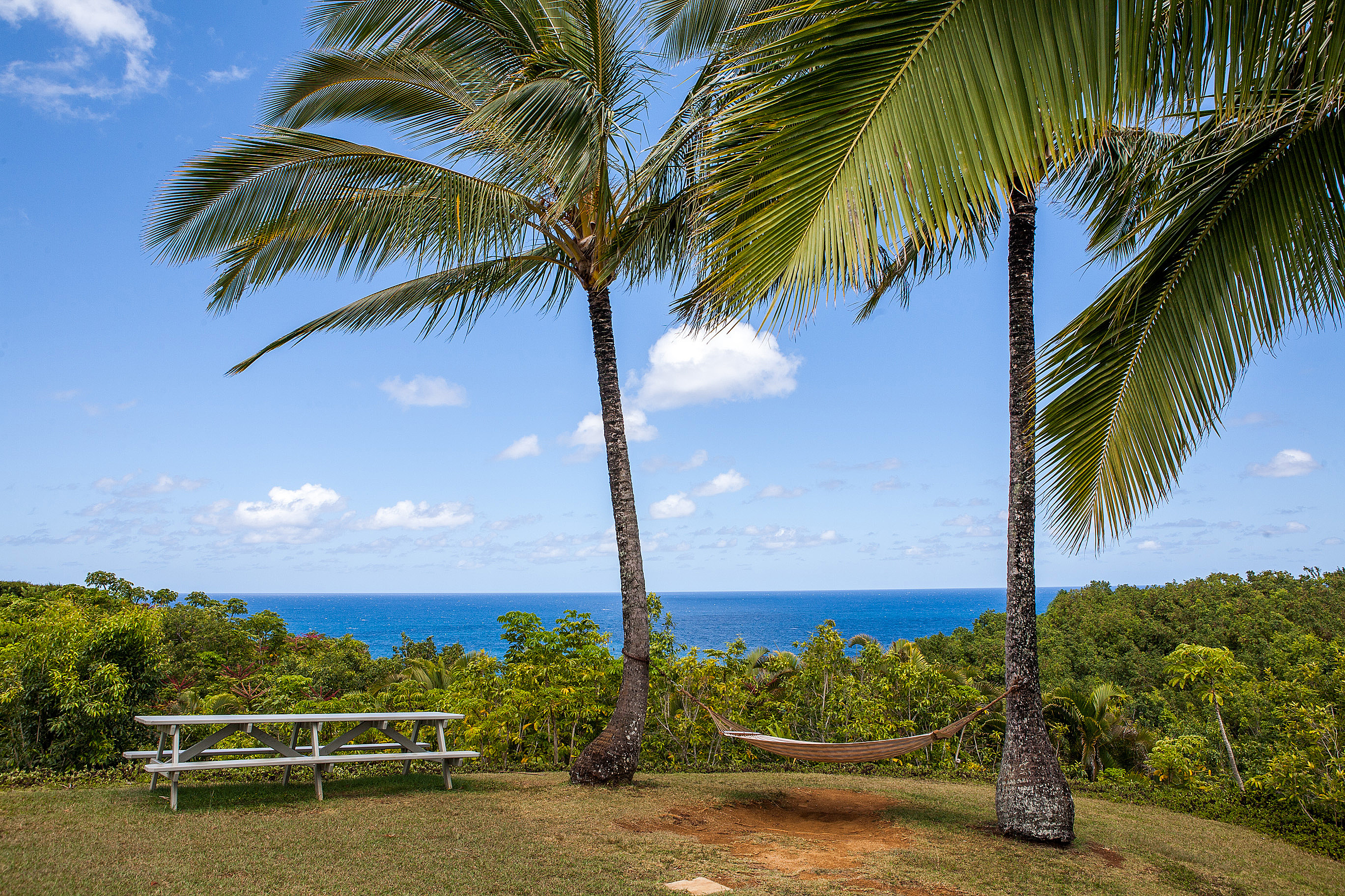 Princeville Condo 983358