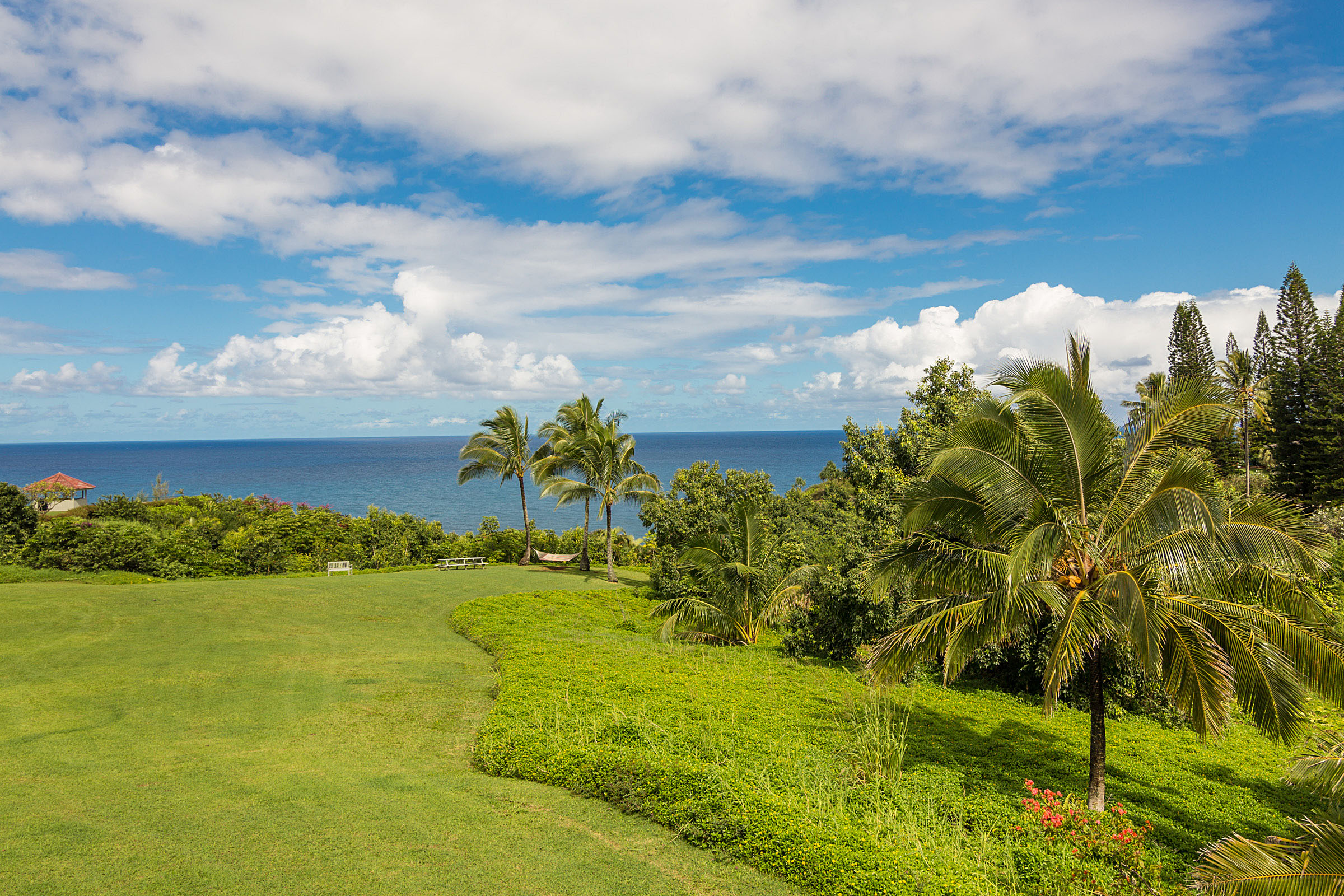 Princeville Condo 983359