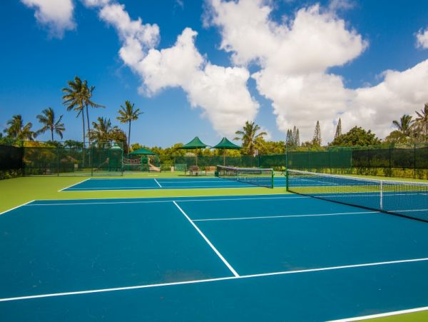 Princeville Condo 983359