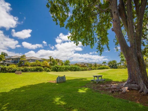 Princeville Condo 983359
