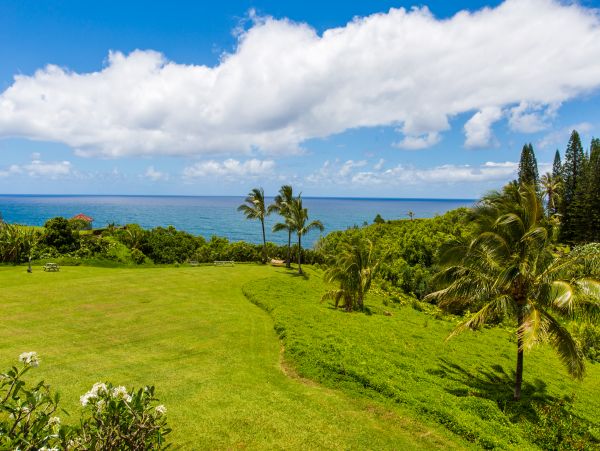 Princeville Condo 983360