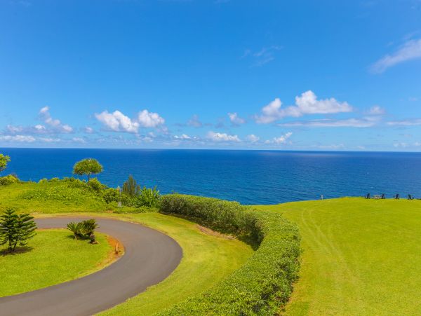 Princeville Condo 983362
