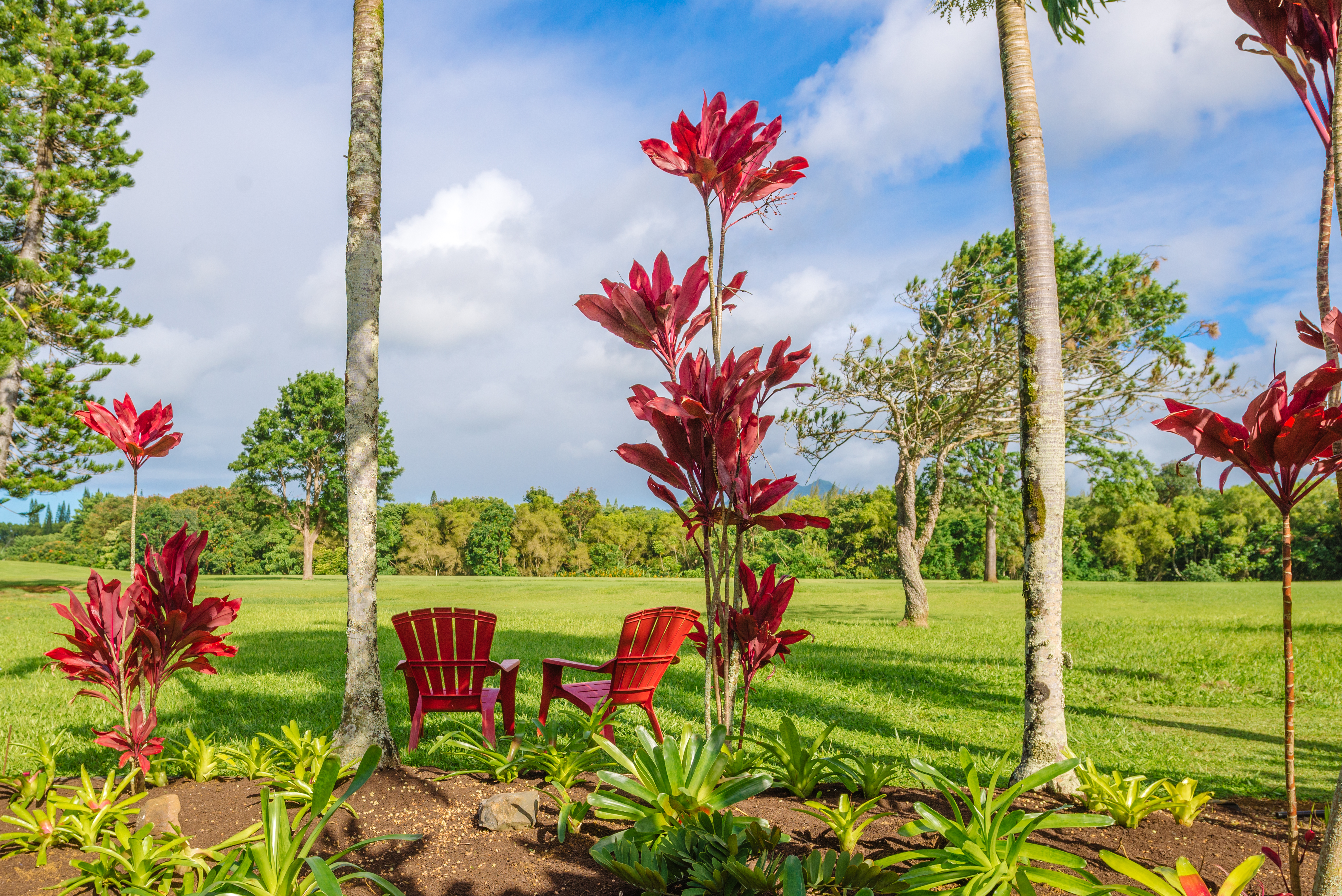 Princeville Condo 983363