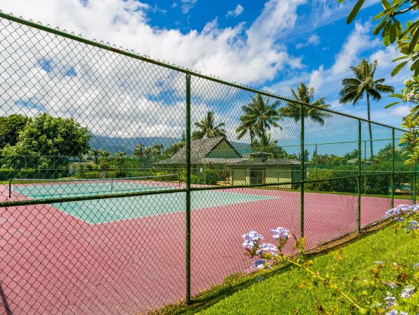 Princeville Home 983367