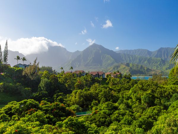 Princeville Home 983369