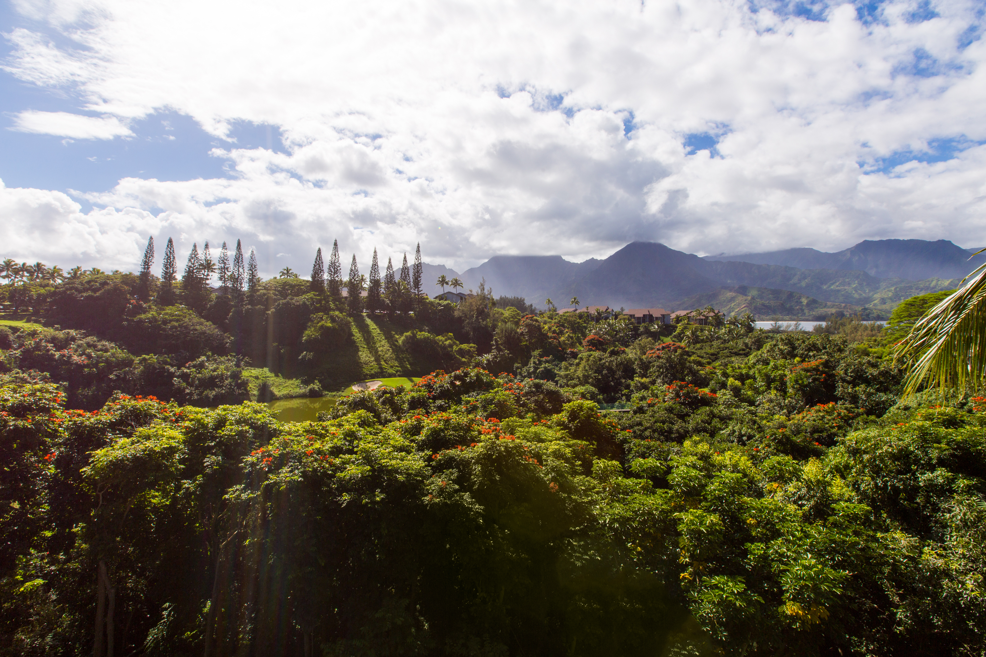 Princeville Home 983369