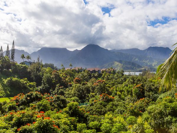 Princeville Home 983369