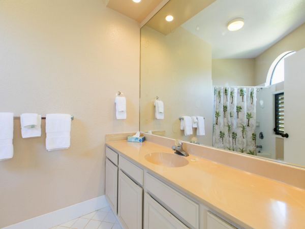 Princeville Condo 983370