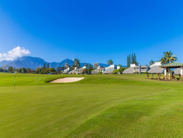 Princeville Condo 983370