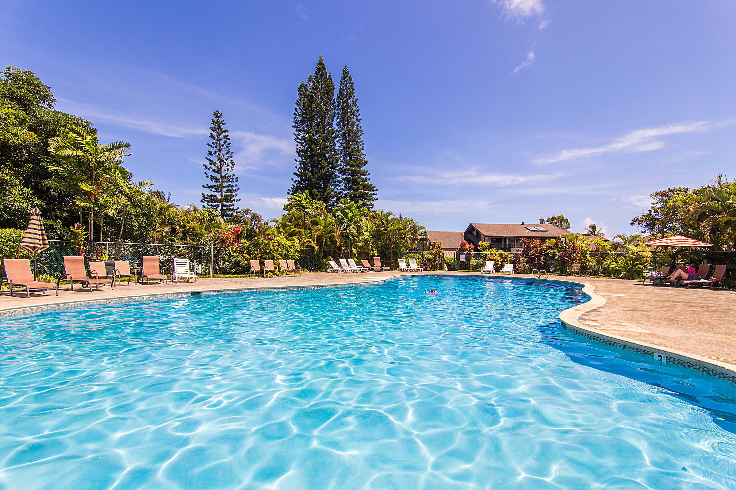 Princeville Condo 983372