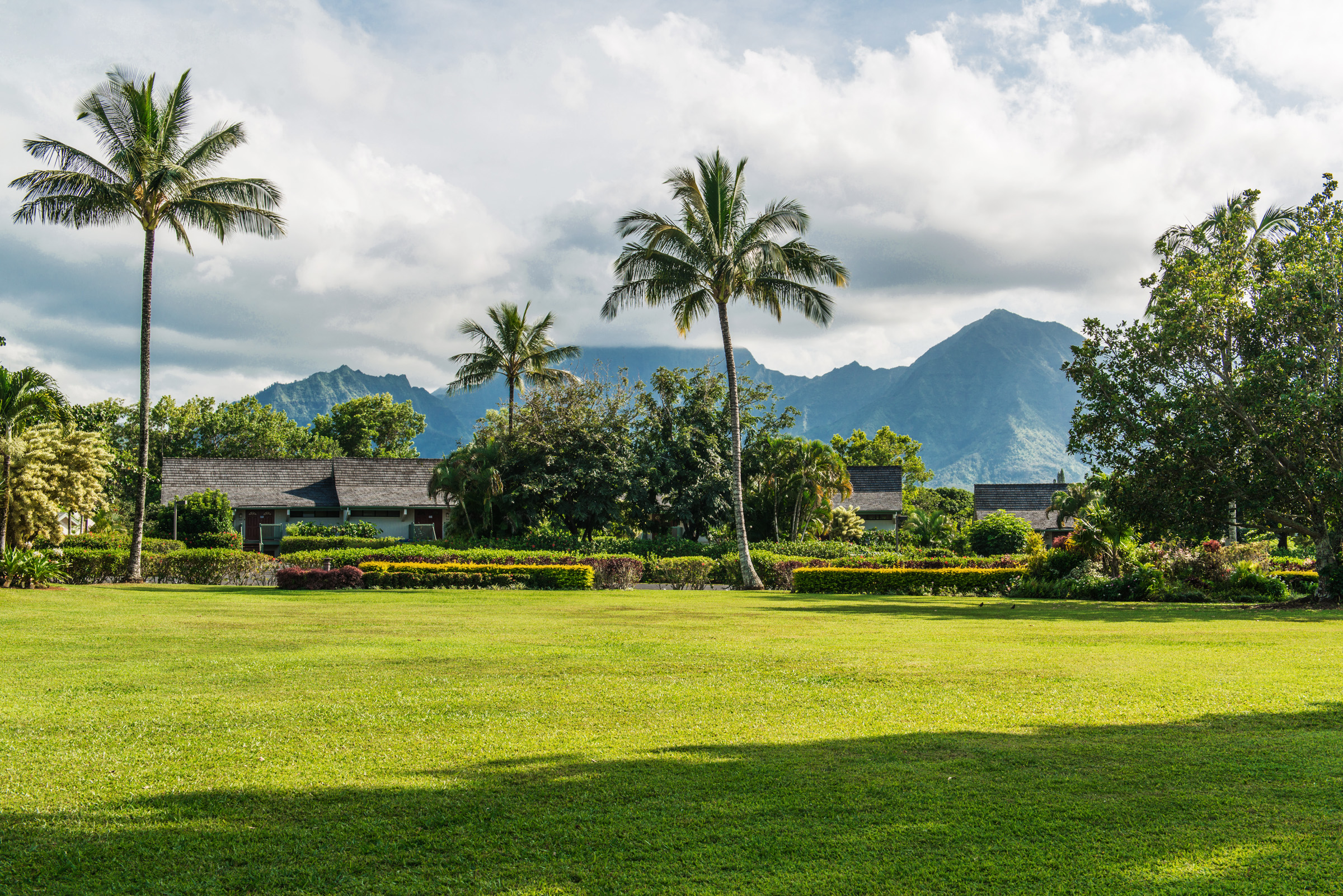 Princeville Condo 983373