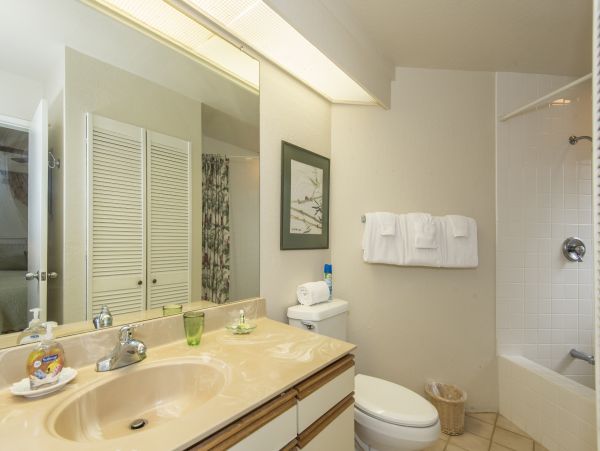 Princeville Condo 983376