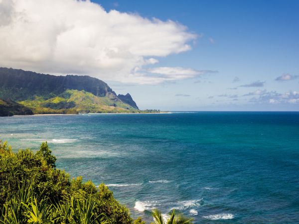 Princeville Condo 983376