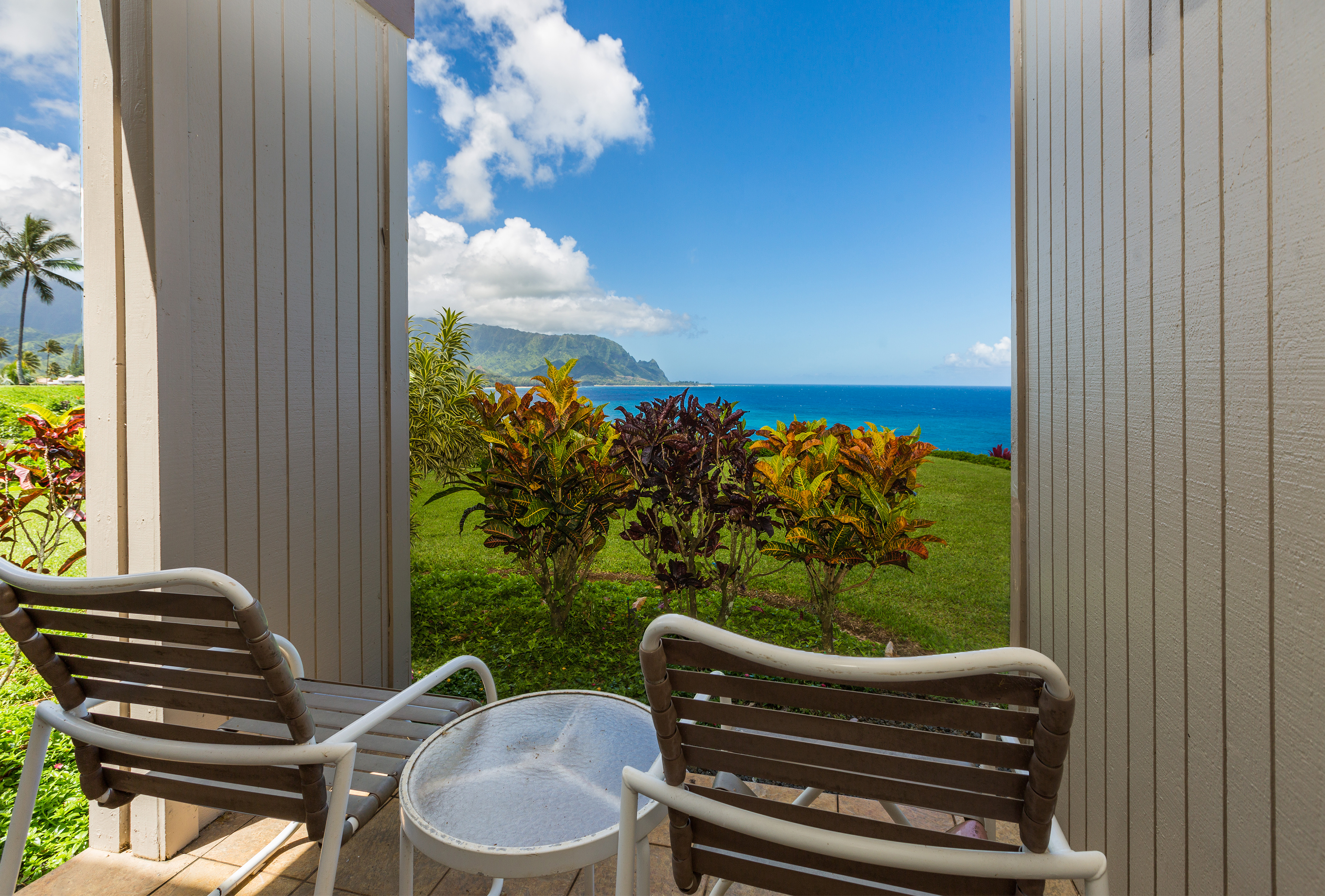 Princeville Condo 983377