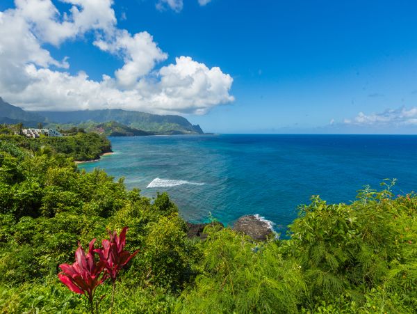 Princeville Condo 983377