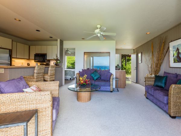 Princeville Condo 983377