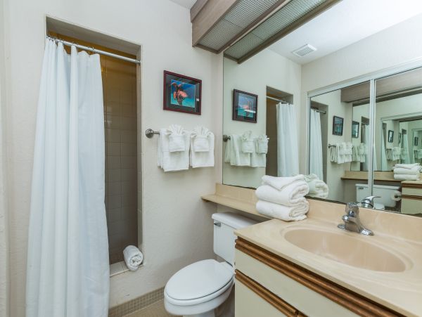 Princeville Condo 983377