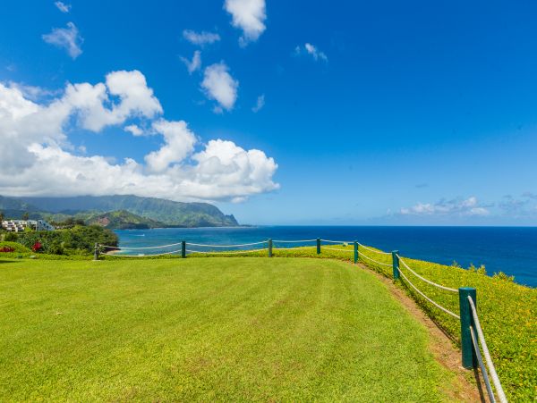 Princeville Condo 983377