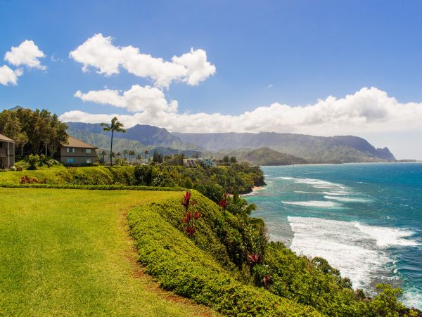 Princeville Condo 983377