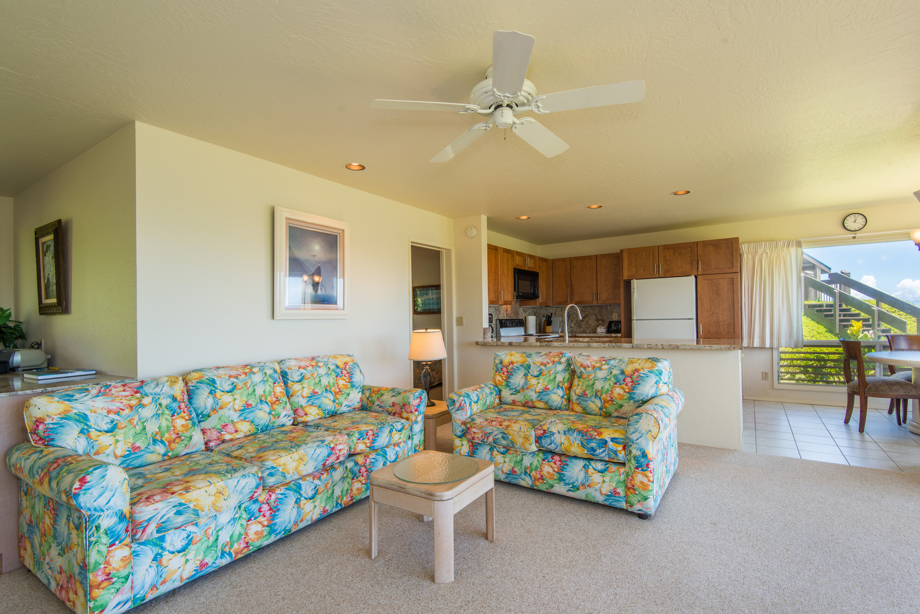 Princeville Condo 983378