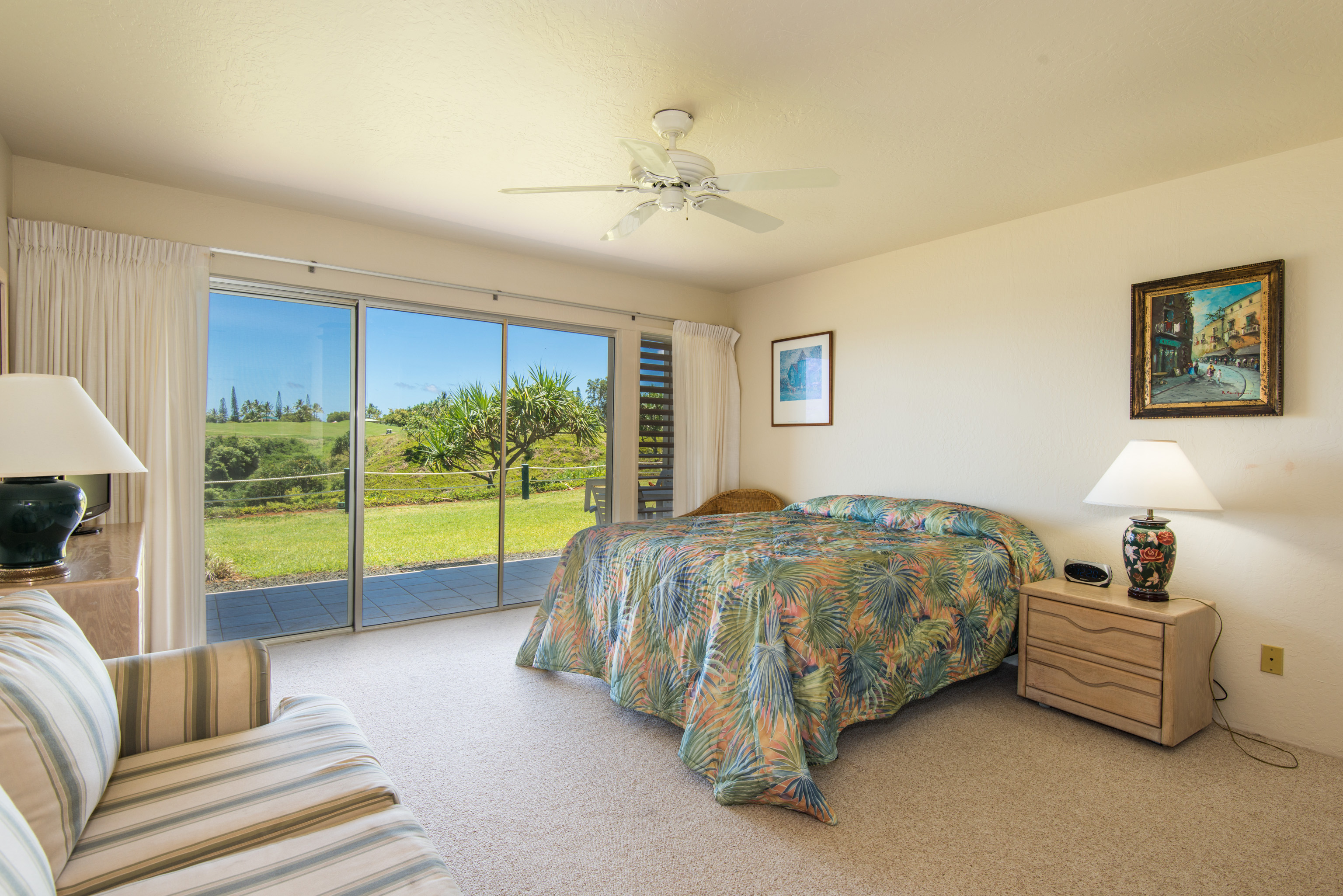 Princeville Condo 983378