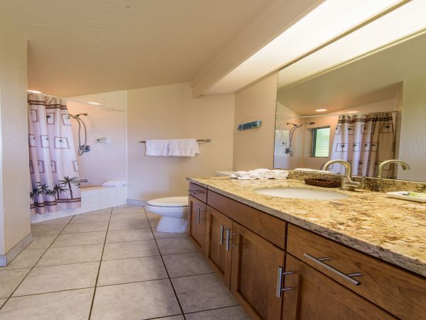 Princeville Condo 983378