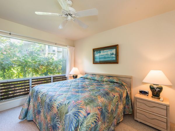 Princeville Condo 983378
