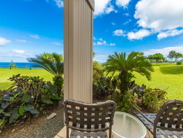 Princeville Condo 983379