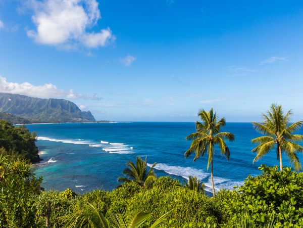 Princeville Condo 983379