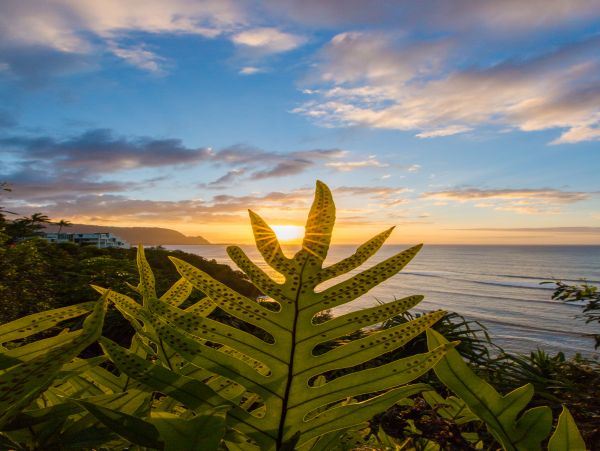 Princeville Condo 983379