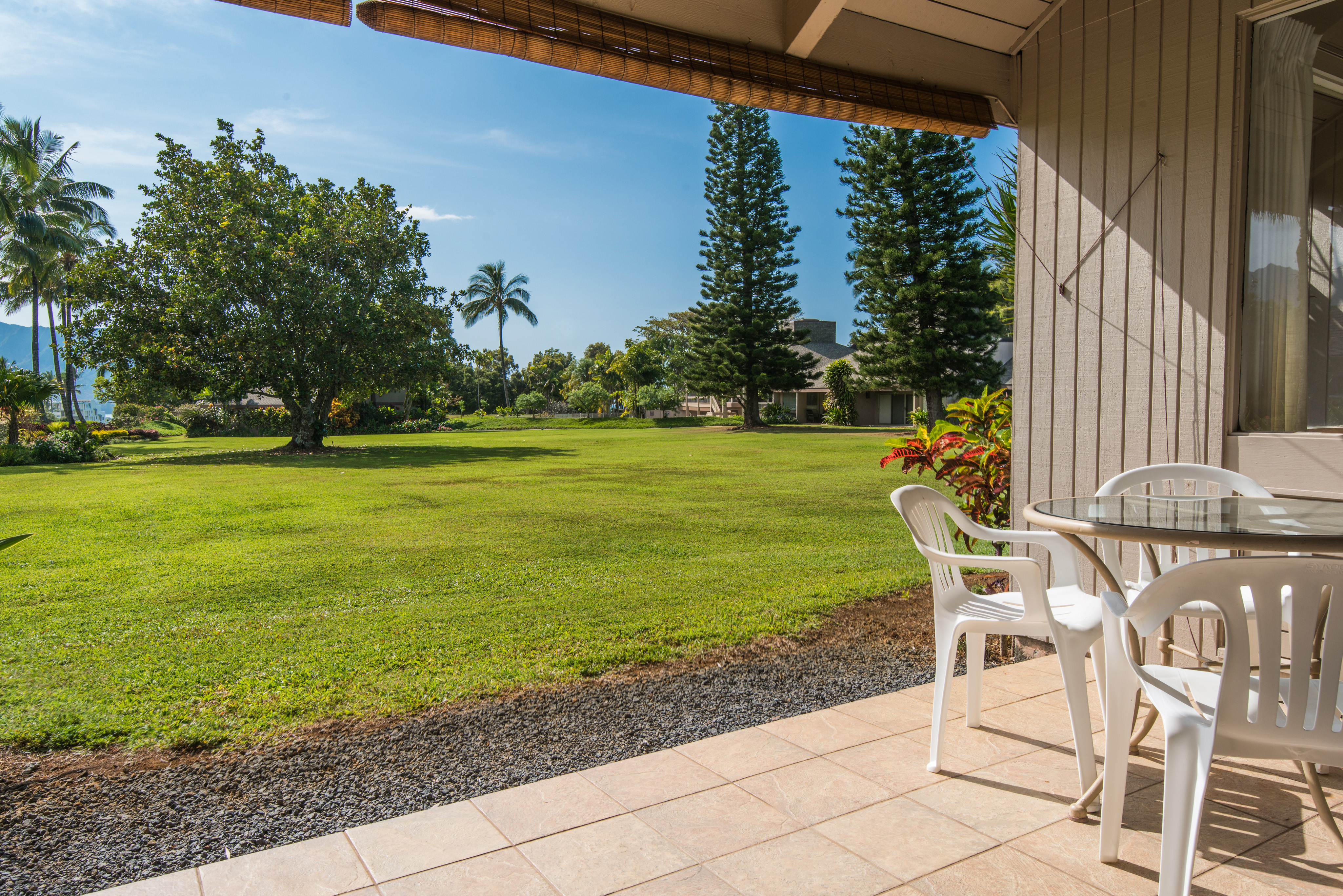 Princeville Condo 983381