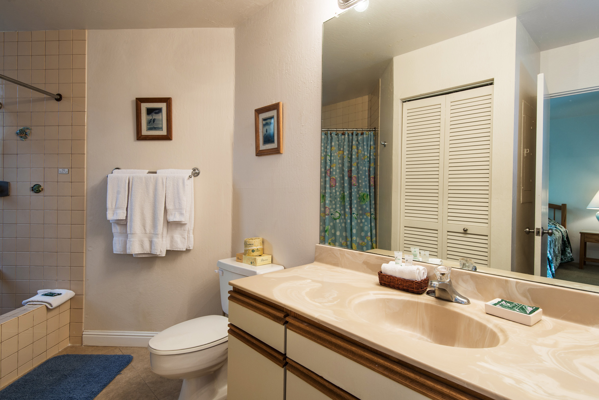 Princeville Condo 983381