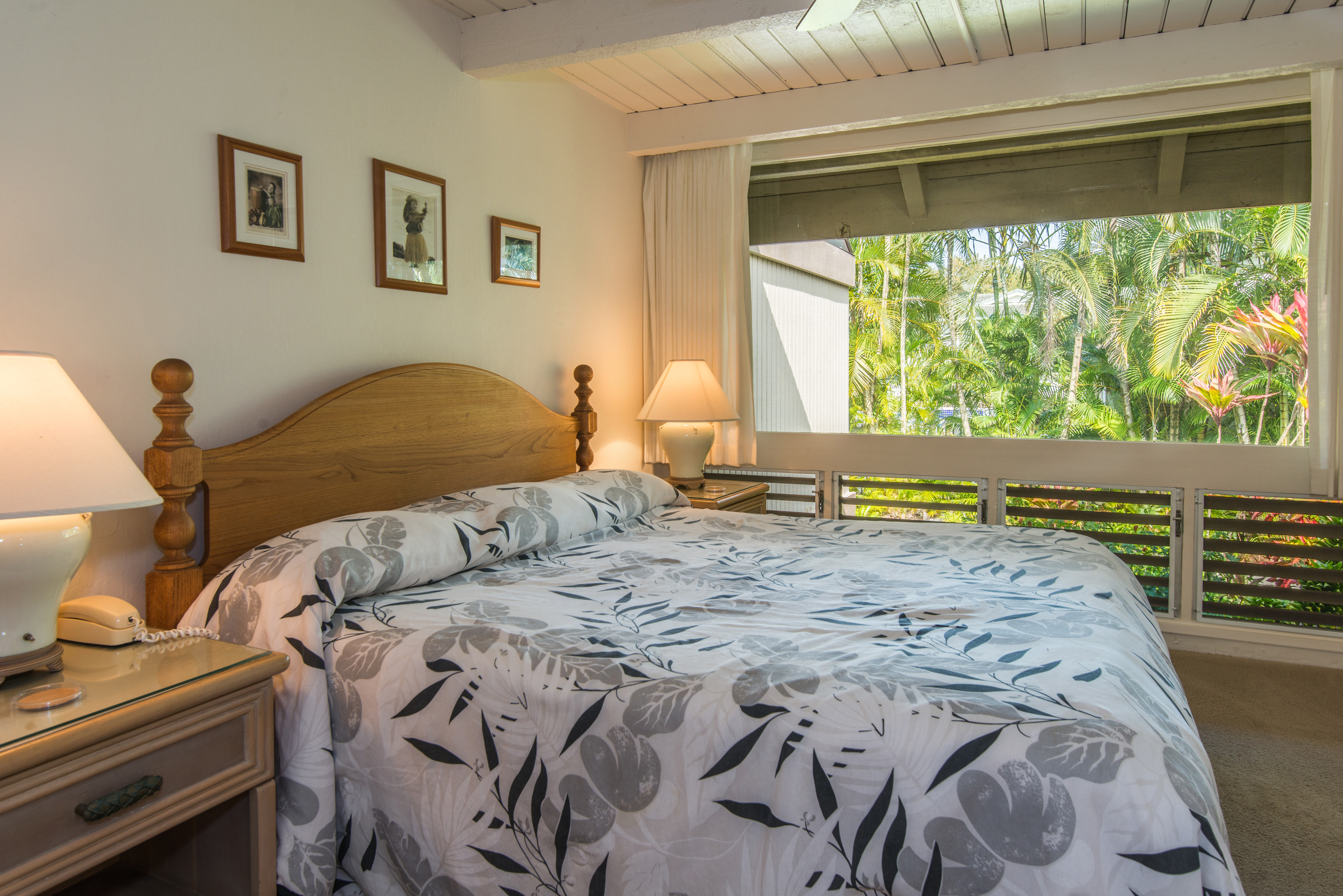 Princeville Condo 983381